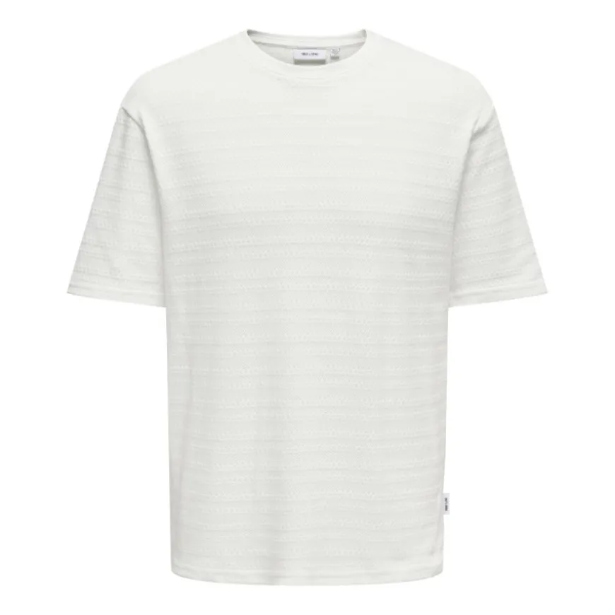 Camisetas manga corta Only & sons Onsgivo Reg 12 Ss Crew Knit Noos