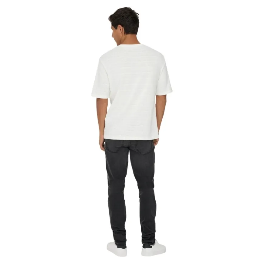 Camisetas manga corta Only & sons Onsgivo Reg 12 Ss Crew Knit Noos