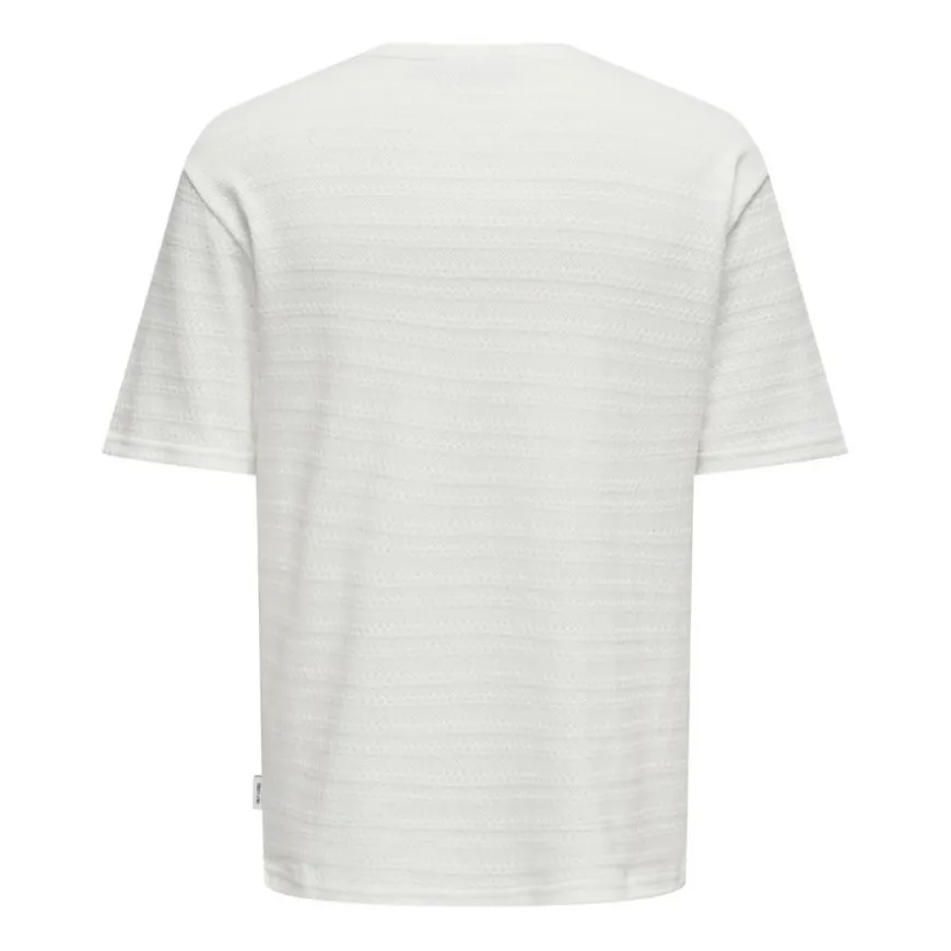 Camisetas manga corta Only & sons Onsgivo Reg 12 Ss Crew Knit Noos