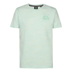 Camisetas manga corta Petrol Men T-Shirt SS Classic Print