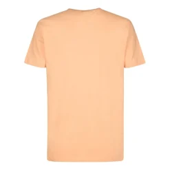 Camisetas manga corta Petrol Men T-Shirt SS Classic Print