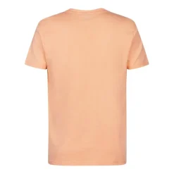Camisetas manga corta Petrol Men T-Shirt SS