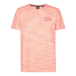 Camisetas manga corta Petrol Men T-Shirt SS Classic Print