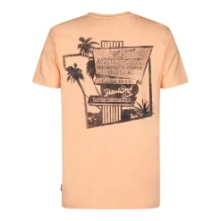 Camisetas manga corta Petrol Men T-Shirt SS Classic Print