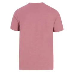 Camisetas manga corta Protest Prtcruz T-Shirt