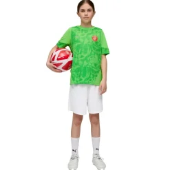 Camisetas manga corta Puma Gfc Training Jersey