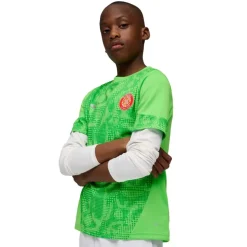 Camisetas manga corta Puma Gfc Training Jersey