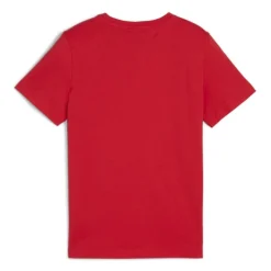 Camisetas manga corta Puma GRAPHICS PUMA Wordin