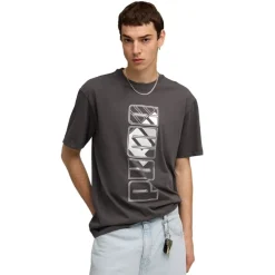 Camisetas manga corta Puma Maximal Metallic Relaxed Tee