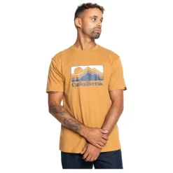 Camisetas manga corta Quiksilver SMU Qs Gradient Mountains Ss