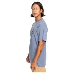 Camisetas manga corta Quiksilver Landscapes Ss