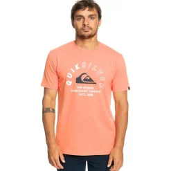 Camisetas manga corta Quiksilver Promotees Mixed Signals Ss Smu