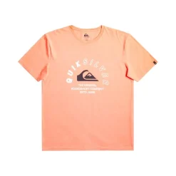 Camisetas manga corta Quiksilver Promotees Mixed Signals Ss Smu