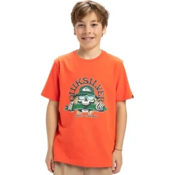 Camisetas manga corta Quiksilver Ev Gradient Box Ss Yth