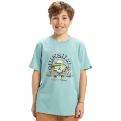Camisetas manga corta Quiksilver Ev Skull Feast Ss Yth