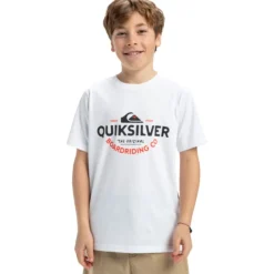 Camisetas manga corta Quiksilver SMU Basic Ss Tee Youth