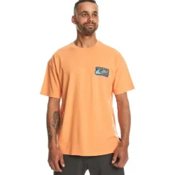 Camisetas manga corta Quiksilver Spin Cycle Ss