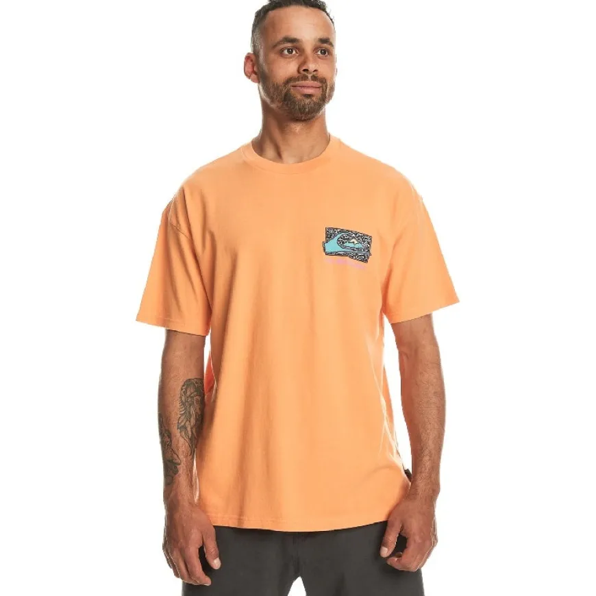 Camisetas manga corta Quiksilver Spin Cycle Ss
