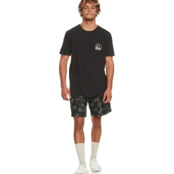 Camisetas manga corta Quiksilver Cleancircle Tees Kvj0