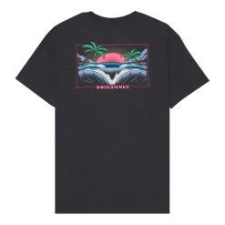 Camisetas manga corta Quiksilver Quikglobe Ss