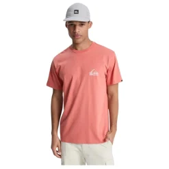 Camisetas manga corta Quiksilver Ev Mini Logo Ss