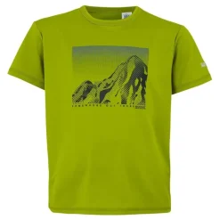 Camisetas manga corta Regatta Alvarado IX