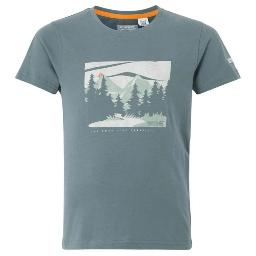 Camisetas manga corta Regatta Bosley VIII