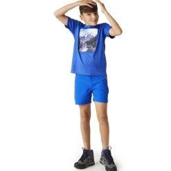 Camisetas manga corta Regatta Alvarado VIII