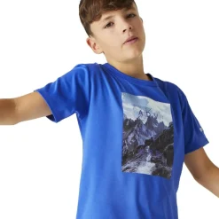 Camisetas manga corta Regatta Alvarado VIII