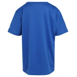 Camisetas manga corta Regatta Alvarado VIII