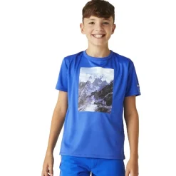Camisetas manga corta Regatta Alvarado VIII