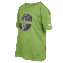 Camisetas manga corta Regatta Alvarado VIII