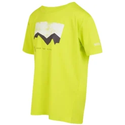 Camisetas manga corta Regatta Alvarado VIII
