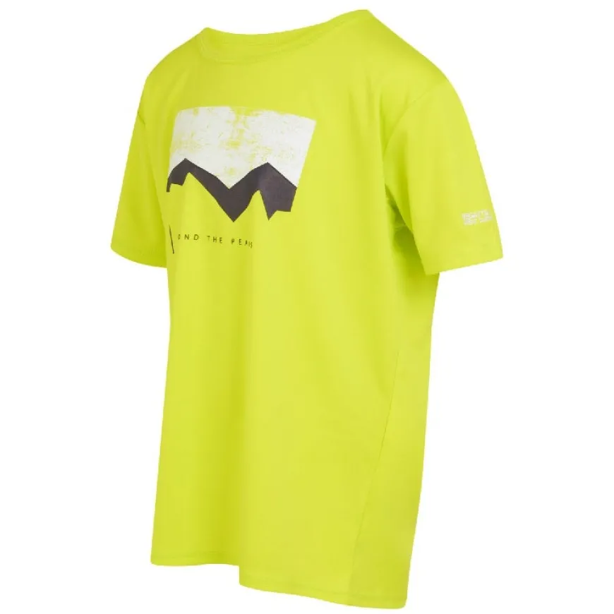 Camisetas manga corta Regatta Alvarado VIII