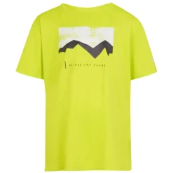 Camisetas manga corta Regatta Alvarado VIII
