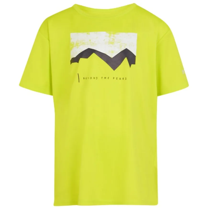 Camisetas manga corta Regatta Alvarado VIII