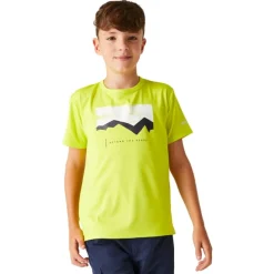 Camisetas manga corta Regatta Alvarado VIII