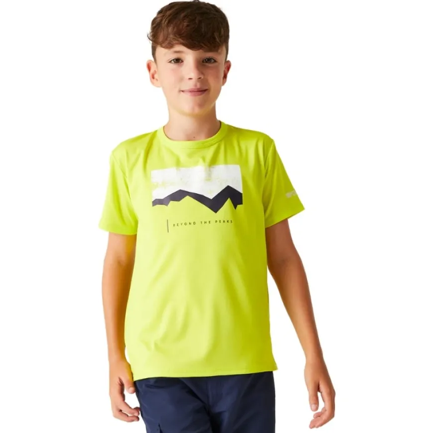 Camisetas manga corta Regatta Alvarado VIII