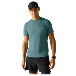 Camisetas manga corta Regatta MindoAIsctS ST