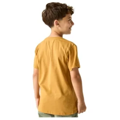 Camisetas manga corta Regatta Bosley