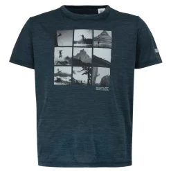 Camisetas manga corta Regatta Alvarado IX