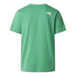 Camisetas manga corta The north face M Evolution Half Dome Regular Short Slee