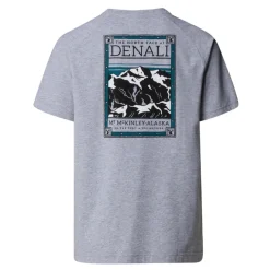 Camisetas manga corta The north face M Ss North Faces Tee