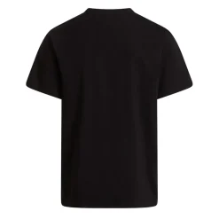 Camisetas manga corta The north face M Evolution Simple Dome Regular Short Sl