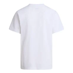 Camisetas manga corta The north face M Evolution Simple Dome Regular Short Sl
