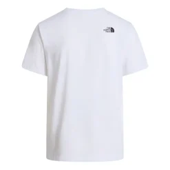 Camisetas manga corta The north face M Evolution Half Dome Regular Short Slee