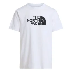 Camisetas manga corta The north face M Evolution Half Dome Regular Short Slee