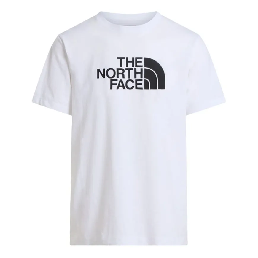 Camisetas manga corta The north face M Evolution Half Dome Regular Short Slee