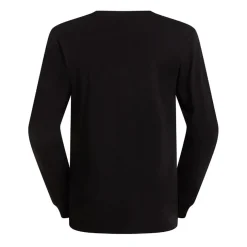 Camisetas manga corta The north face M Evolution Simple Dome Regular Long Sle