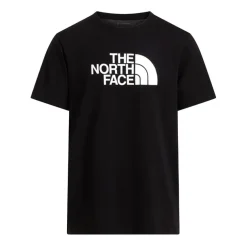 Camisetas manga corta The north face M Evolution Half Dome Regular Short Slee